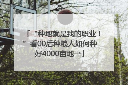 “种地就是我的职业！”看00后种粮人如何种好4000亩地→